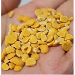 건강잡곡 콩 루피니빈 300g 가는잎미선콩 단백질식단 고단백 건강간식 잡곡류 식물성단백질 식물성 단백질 다이어튼콩 식단관리, 1개