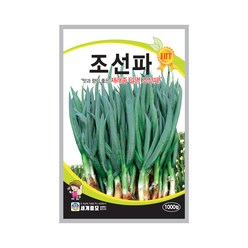 조선파 1000립/재래종 대파 파 텃밭 키우기 종자 씨앗, 단품