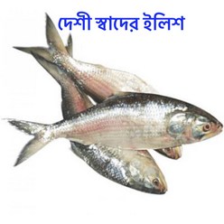 S.N. FOOD FROZEN HILSHA(냉동청어)방글라데시 미얀마 생선 3마리/팩, 1kg, 1팩
