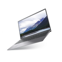 델 2021 Inspiron 15, 플래티넘 실버, 코어i5 11세대, 256GB, 8GB, Free DOS, DN5510-UB03KR