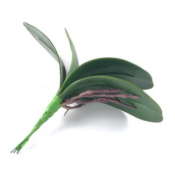 호접란 조화 꽃꽂이용 분재용 실내장식 화분 중4잎, 4개