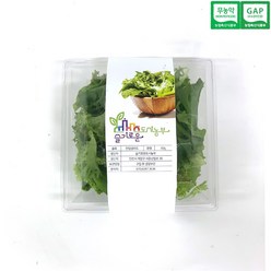 [슬기로운도시농부]유러피안 한입 샐러드 8팩 세트(60g/팩) 무농약 GAP인증, 8개
