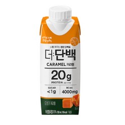 빙그레 더단백 드링크 프로틴음료 250ml, 9개