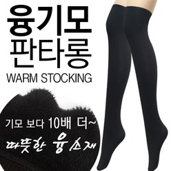 3족세트 올 안나가는 두꺼운 여성 판타롱 무릎 스타킹