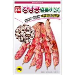 아시아종묘 강낭콩씨앗 콩씨앗 얼룩이34강낭콩 (30g), 1개