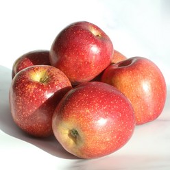 [사과끝판왕]감홍사과 문경 사과 고당도 꿀사과, 1박스, [가정용]고당도 꿀감홍사과 3kg