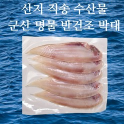 딱딱이맛 산지직송 군산 반건조 박대 생선구이, 1개, 반건조 박대 29-31cm 10미 1000g