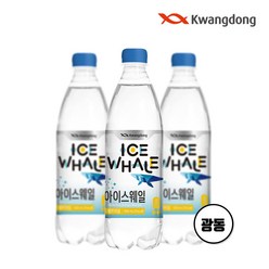 광동 아이스웨일 탄산수 레몬라임 500ml x 20펫, 500ml, 20펫