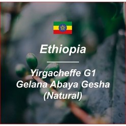 [커피생두] 에티오피아 예가체프 G1 아바야 게이샤 내츄럴 1KG, 1개
