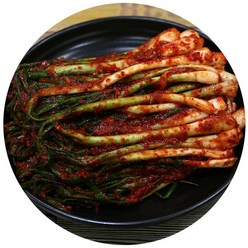 수입 파김치 / 알싸한맛의 중국산 김치 5kg 10kg, 1개