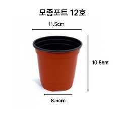 디안몰 모종포트 이색포트 12cm 100개