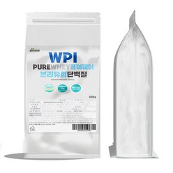 해썹인증 WPI 퓨어웨이 분리유청 단백질분말 500g 2팩 (총1kg) 락토프리 헬스보충제 유당분리, 2개