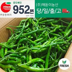 <해돋이농산> 국산 햇 꽈리고추 특품(A급) 1kg 2kg, 1개