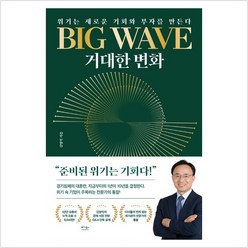 [베가북스]BIG WAVE 거대한 변화 : 위기는 새로운 기회와 부자를 만든다, 김영익, 베가북스