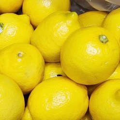 더프루츠 미국산 칠레산 팬시레몬 가정용 납품 레몬 대과 가락시장 도매, 칠레산 팬시레몬 대과 17kg, 1개