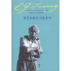 정신 요법의 기본 문제(융 기본 저작집 1), 솔, C. G. 융 저/한국융연구원 C. G. 융 저작 번역위원회 역