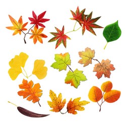 가을 낙엽 시리즈_조화 10종, 6.벚나무잎