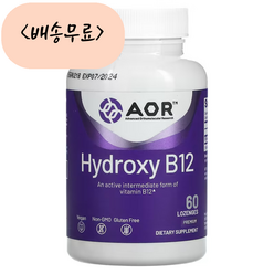 AOR 프리미엄 하이드록시 활성형 비타민B12 1mg 60개입 히드록소 코발라민, 1개, 60개