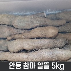 23년 햇안동참마 알뜰 5kg (모양 예쁜 깎기편한상품), 1개