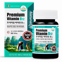 네추럴라이즈 프리미엄 비타민 B12, 90정, 1개