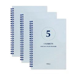 인디고 원데이 스터디플래너 - 5Subjects (100일), 스카이 3p