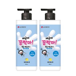 온더바디 세균아꼼짝마 향균 핸드워시 레몬버베나 480ml, 2개