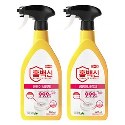 애경 랩신 홈백신 곰팡이 세정제 600ml, 2개