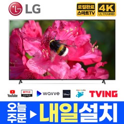LG전자 55인치(139cm) 나노셀 울트라HD 4K 스마트 IPS LED TV 55NANO80 넷플릭스 유튜브, 매장직접방문수령