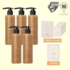 [핵심 5병 구성] 조성아 레몬청 빛톡스 클렌저 (본품5+파우치 10매), 200ml, 1개