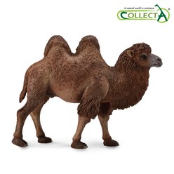 컬렉타 쌍봉 낙타 야생 동물 피규어 장난감 모형