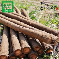 [영파머스몰]마캐는 젊은농부들 우엉 안동 생우엉(특/대상/중품)2k, 2kg 특품, 1개