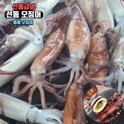 원양 선동 오징어 냉동 통 오징어 통찜 숙회 통오징어찜, 1kg, 1개
