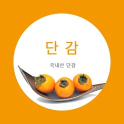 고가유통/서촌 단감 부유단감 진영단감 차량단감 못난이단감 선별 소과, 10kg, 60개