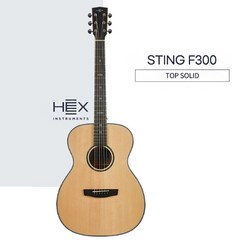 헥스 HEX F300 G 서던점보 통기타 유광