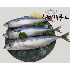 국내산 고등어 냉동고등어 10kg (약 50미), 1.국내산 고등어10kg, 1개