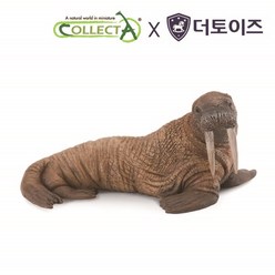 컬렉타 바다 코끼리 야생 동물 피규어 장난감 모형