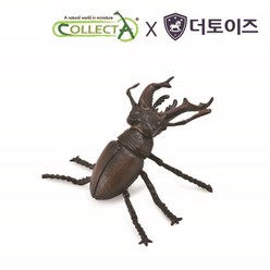 컬렉타 사슴벌레 곤충 피규어 장난감 모형