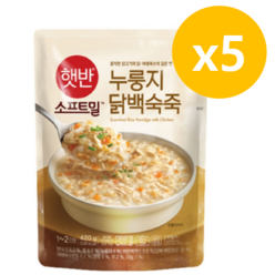 비비고 누룽지 닭백숙죽, 420g, 5개