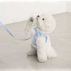 바잇미 캔디크레용 강아지 하네스 + 리드줄 SET - 6 color, 옐로우, 그린, M