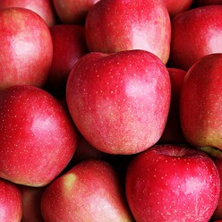 산지직송 꿀당도 문경 감홍 사과, 1개, 3kg