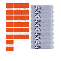 송월타월 스누피 베이직 수건 + 케이스 + 칠순 팔순띠지 D타입 500 x 70 mm 세트, 연회색(수건), 랜덤발송(케이스), 10세트