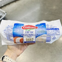 갈바니 후레쉬 모짜렐라 치즈 453g, 아이스팩 포장