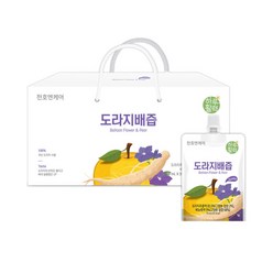 천호앤케어 하루활력 도라지배즙 70ml 30팩 1박스