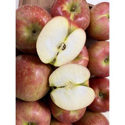 경북 감홍사과 사과 2kg 3kg 5kg, 1개, 5kg(17~20내외)