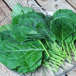 경기 광주 유기농 쌈케일 1kg, 단품