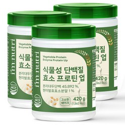 아임뉴트리 식물성 단백질 효소 프로틴, 3개, 420g