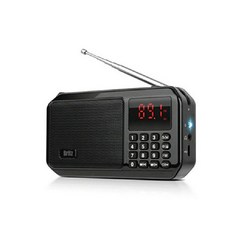 브리츠 휴대용 블루투스 효도 라디오 BZ-LV980, 블랙
