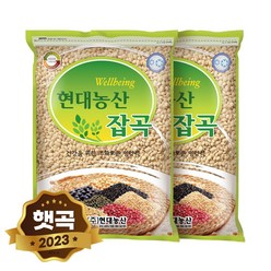 현대농산 보리 4kg 소포장 찰보리 쌀보리 늘보리, 1포, 찰보리 총 4kg