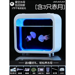고양이어항 캣플릭스 로봇 장난감 램프 어항, B 발광상자+적월 3마리(해파리)