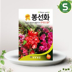 솔림텃밭몰 봉선화씨앗 봉숭아씨앗 100립 꽃씨앗 꽃씨, 1개